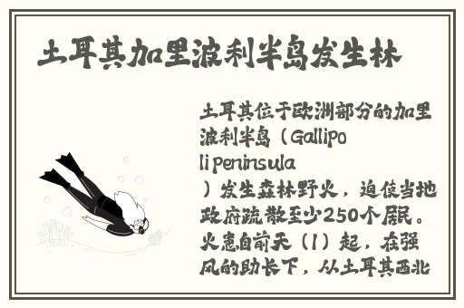 麻豆精产国品一二三产品